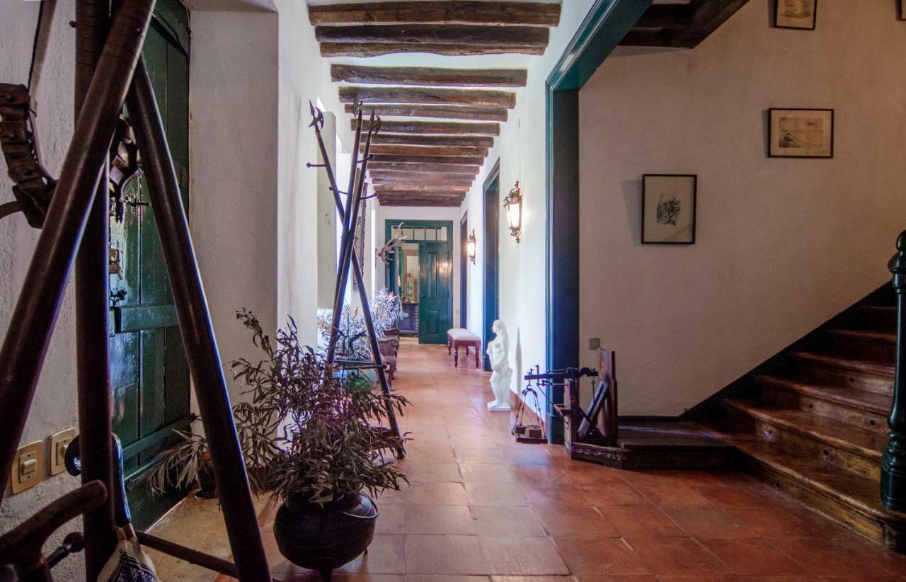 Quinta Do Tojal ξενώνας Ferreira do Zêzere Εξωτερικό φωτογραφία